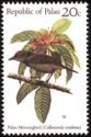 Palau Morningbird (Colluricincla tenebrosa)